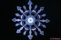 Diatom Art
