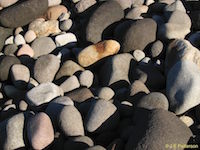 Stones, Opunake